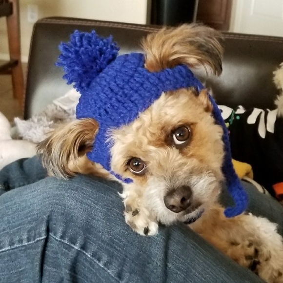 Other Dog Beanie Hat Poshmark